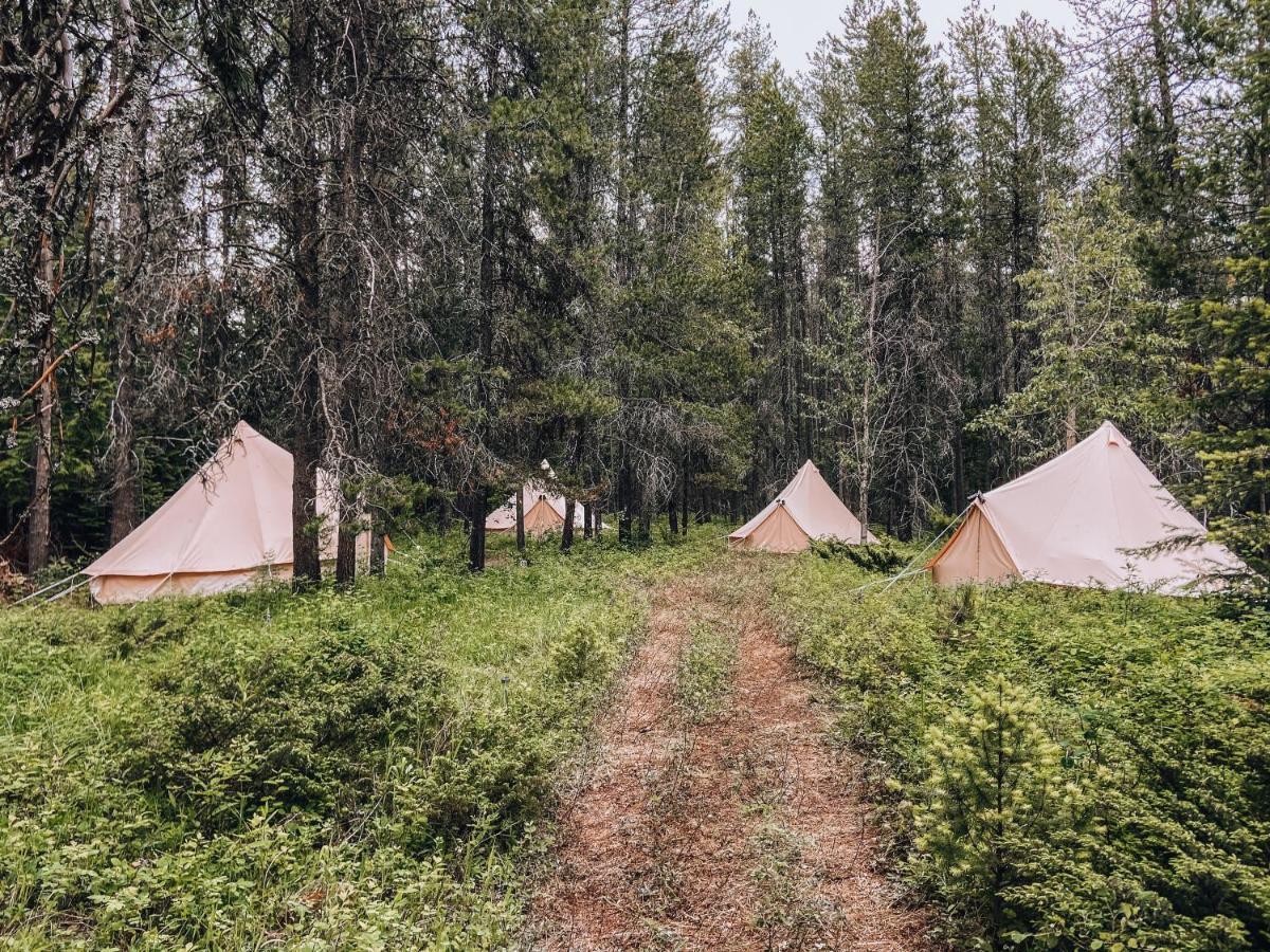 Wander Camp Glacier Hotel Coram Kültér fotó